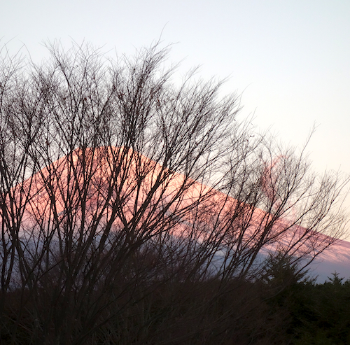 f:id:tetsuyaota:20131225103852j:plain f:id:tetsuyaota:20131225103852j:plain