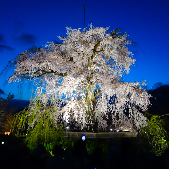 f:id:tetsuyaota:20140407205545j:plain