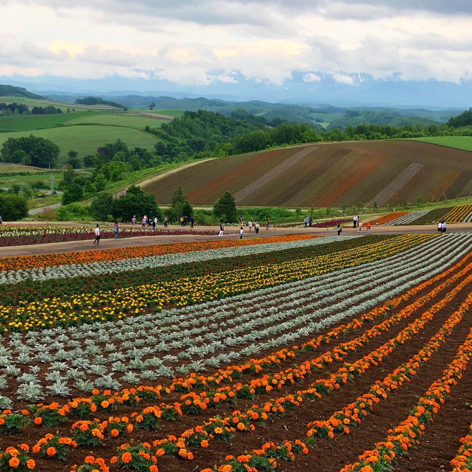 f:id:tetsuyaota:20180807172801j:plain f:id:tetsuyaota:20180807172801j:plain