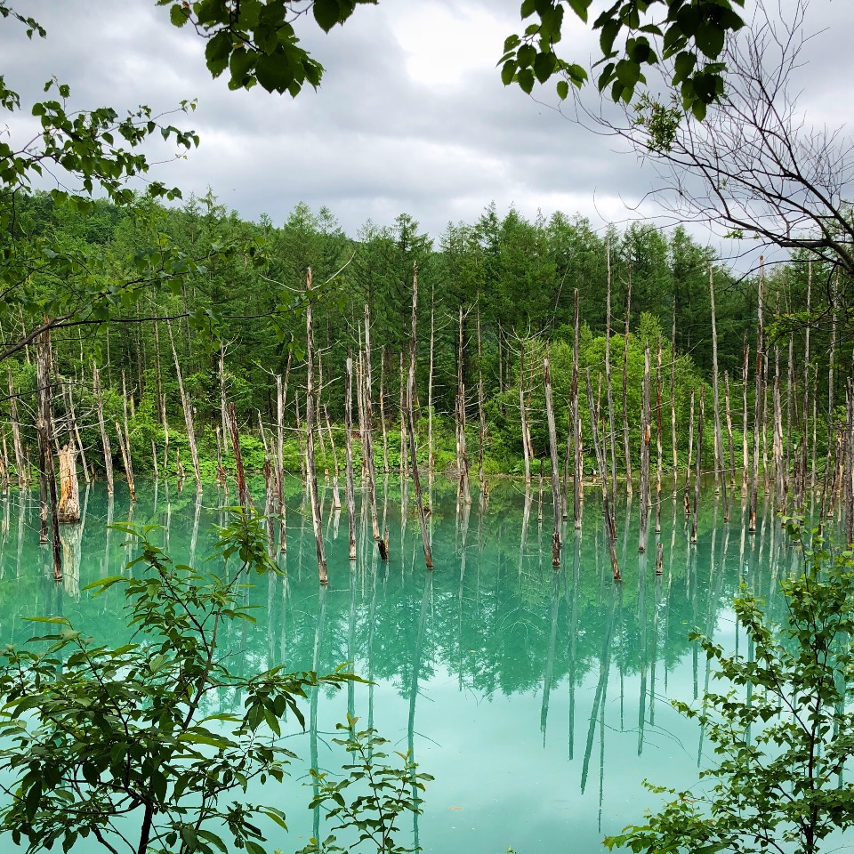 f:id:tetsuyaota:20180807172833j:plain f:id:tetsuyaota:20180807172833j:plain