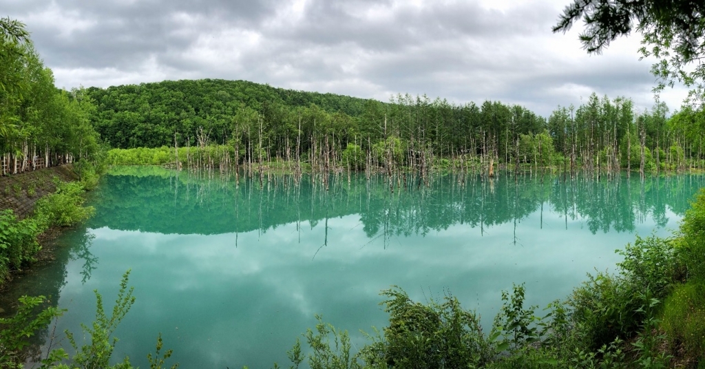 f:id:tetsuyaota:20180807182744j:plain f:id:tetsuyaota:20180807182744j:plain