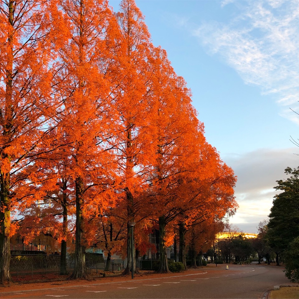 f:id:tetsuyaota:20181228163616j:plain