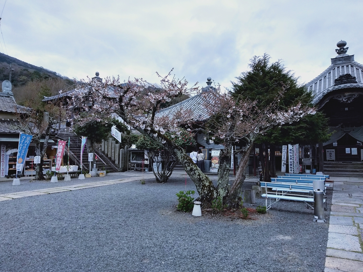 f:id:tetsy_n:20210320194725j:plain