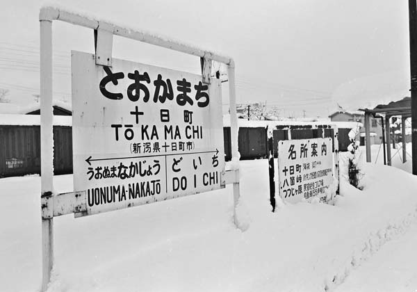 イメージ 8