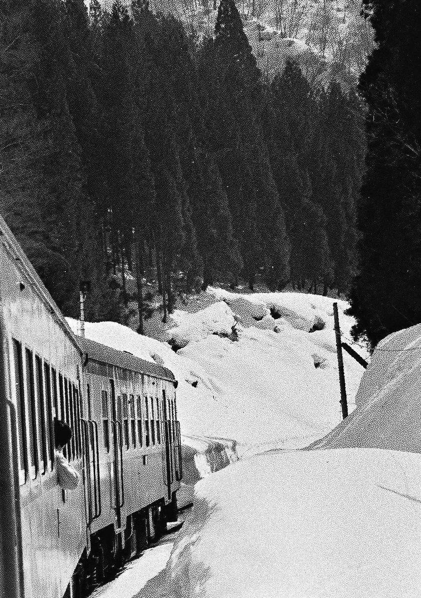 f:id:tettd489:20200318044445j:plain