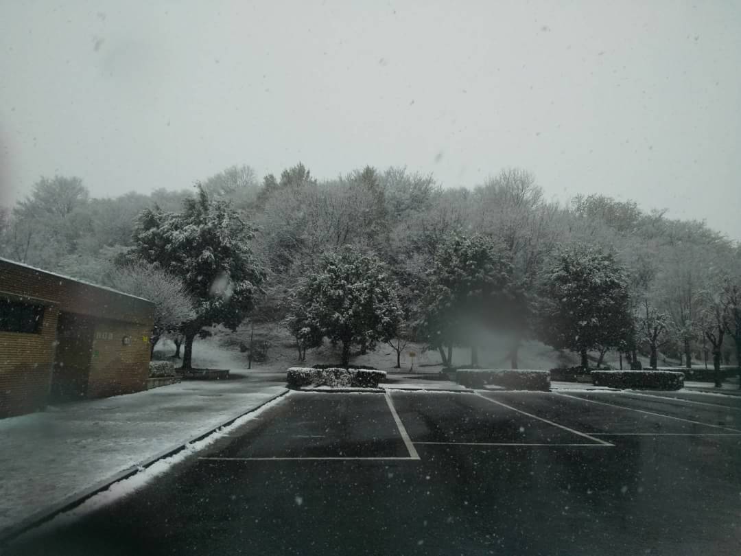 f:id:tettd489:20200329095206j:plain