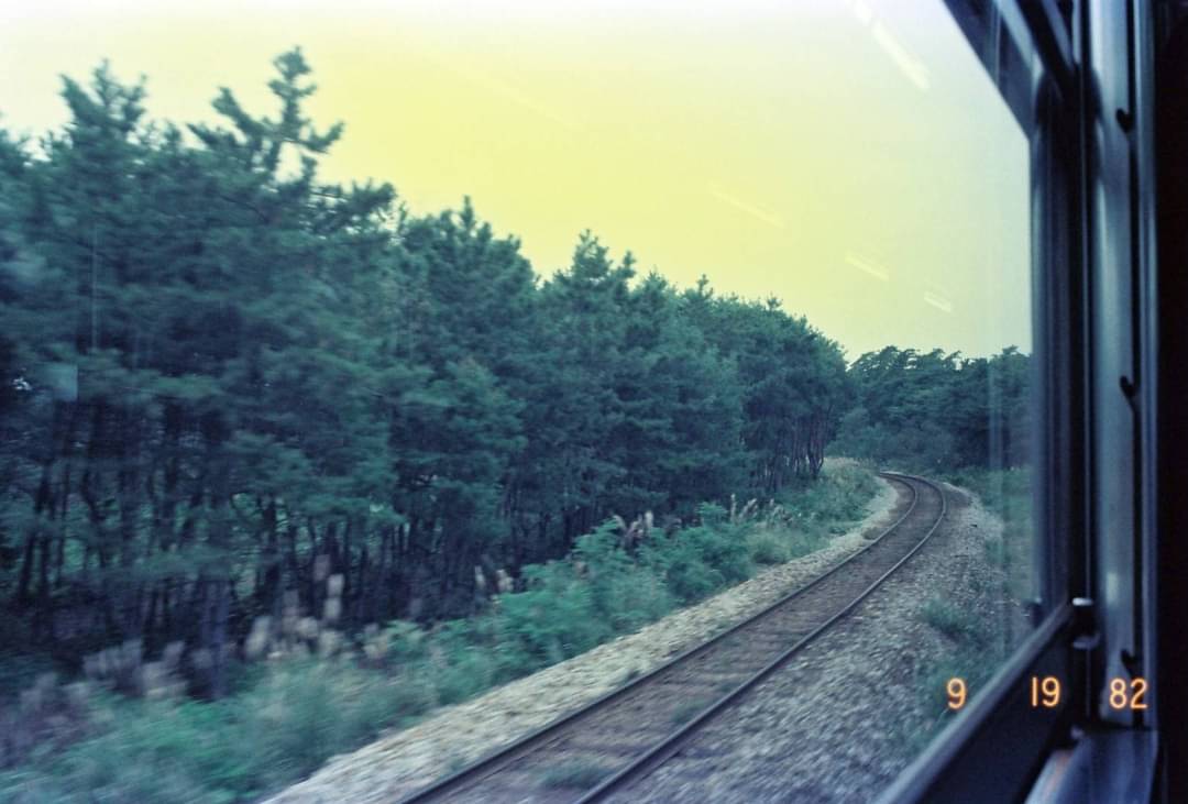 f:id:tettd489:20201201081102j:plain