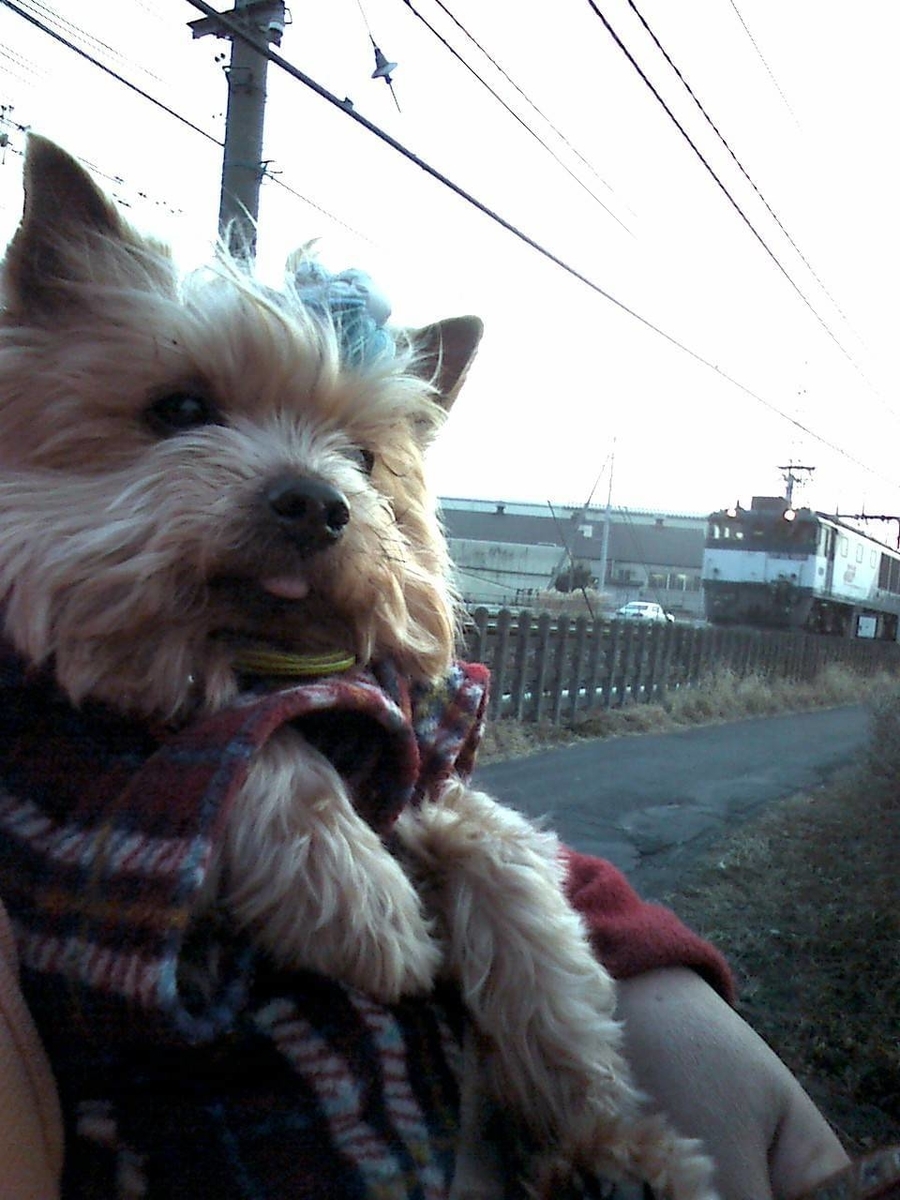 f:id:tettd489:20210426044032j:plain