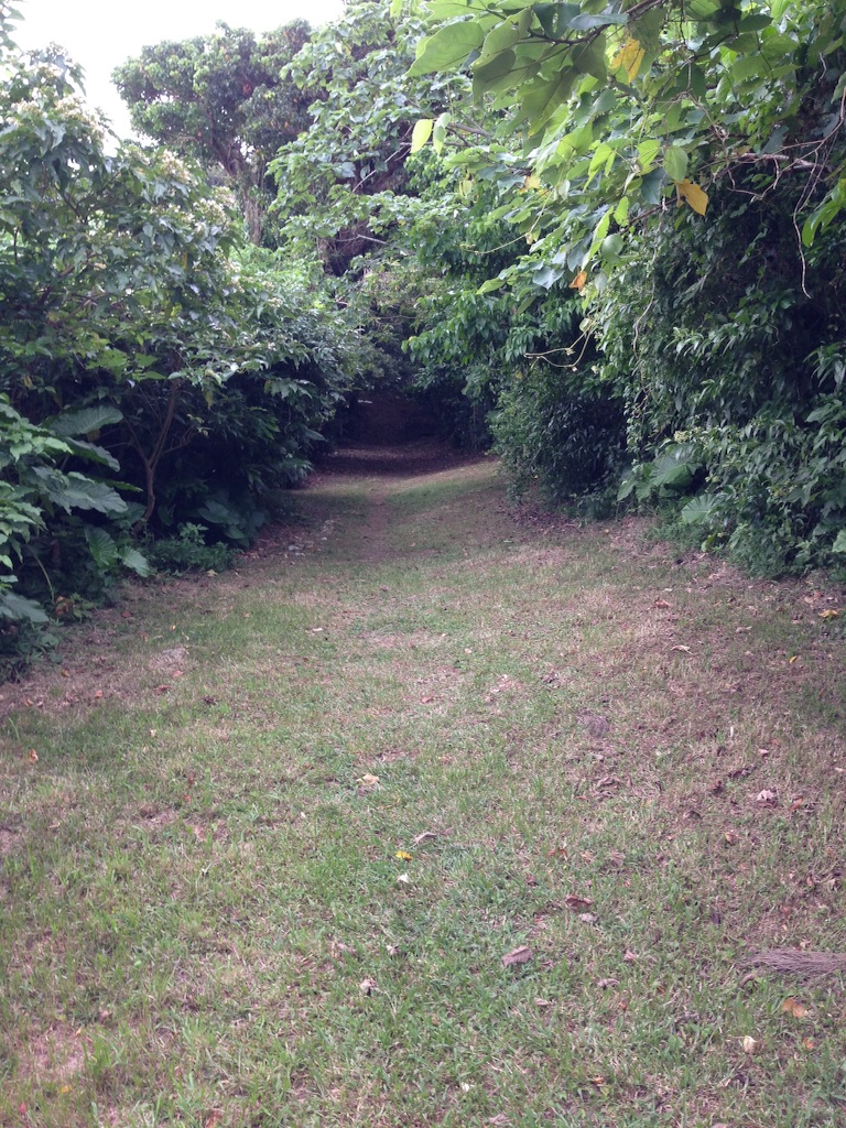 f:id:tettyagi:20150911155137j:plain