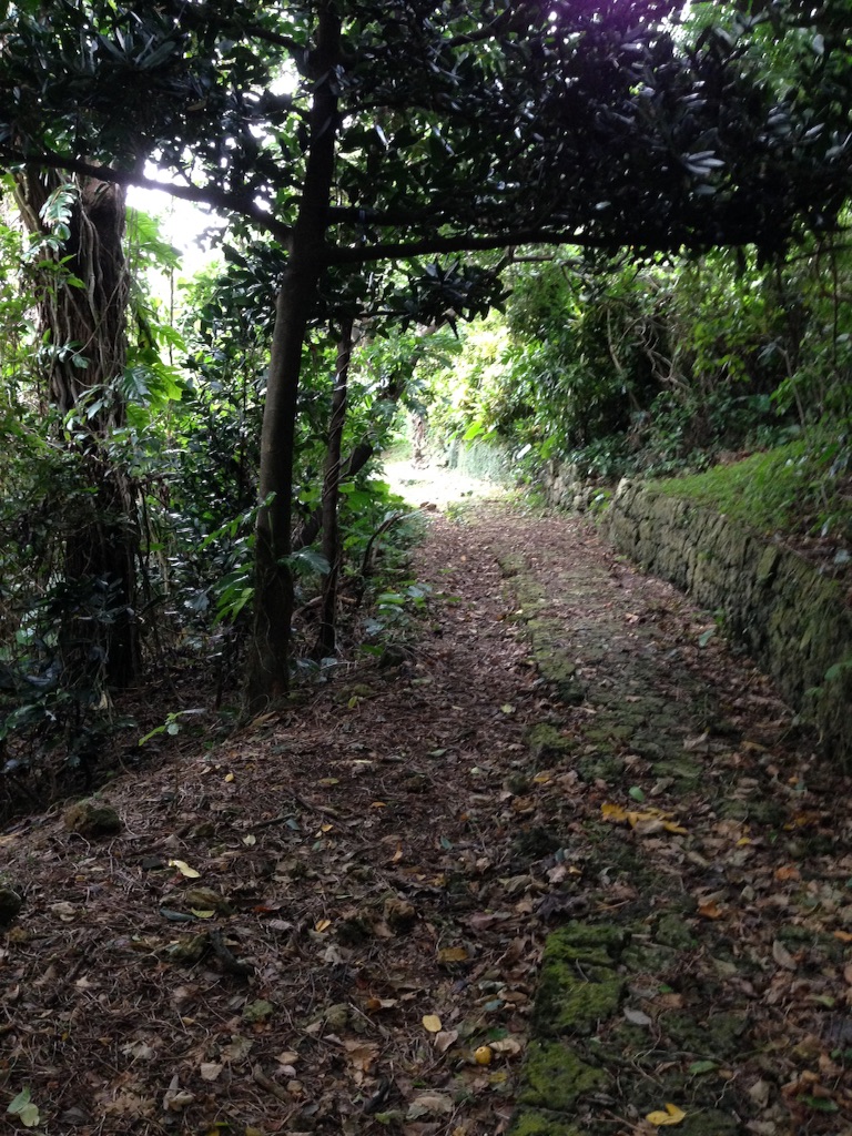 f:id:tettyagi:20150911155145j:plain