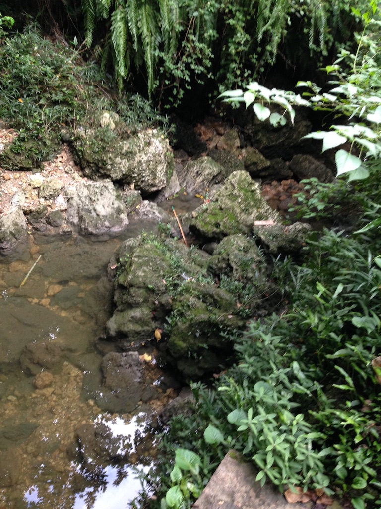 f:id:tettyagi:20150911155204j:plain