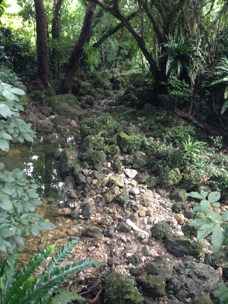 f:id:tettyagi:20150911155210j:plain