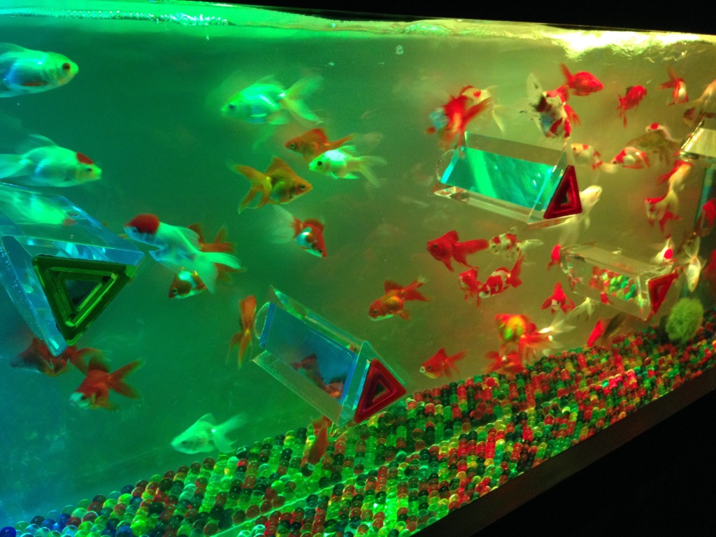 f:id:tettyagi:20151005164745j:plain f:id:tettyagi:20151005164745j:plain