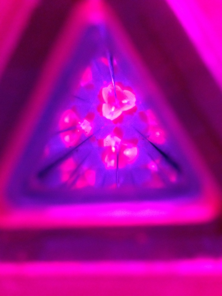 f:id:tettyagi:20151005164804j:plain f:id:tettyagi:20151005164804j:plain