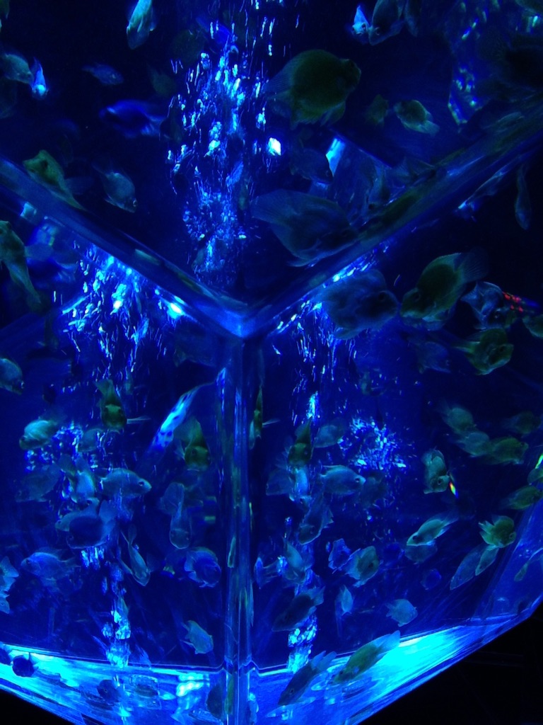 f:id:tettyagi:20151005164926j:plain f:id:tettyagi:20151005164926j:plain