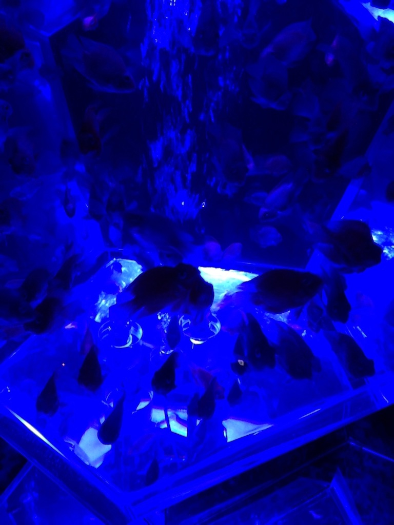 f:id:tettyagi:20151005164942j:plain f:id:tettyagi:20151005164942j:plain