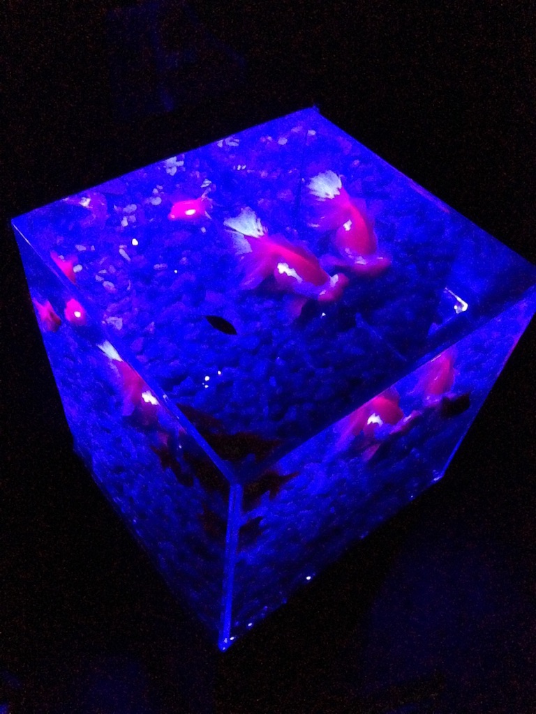 f:id:tettyagi:20151005165436j:plain f:id:tettyagi:20151005165436j:plain