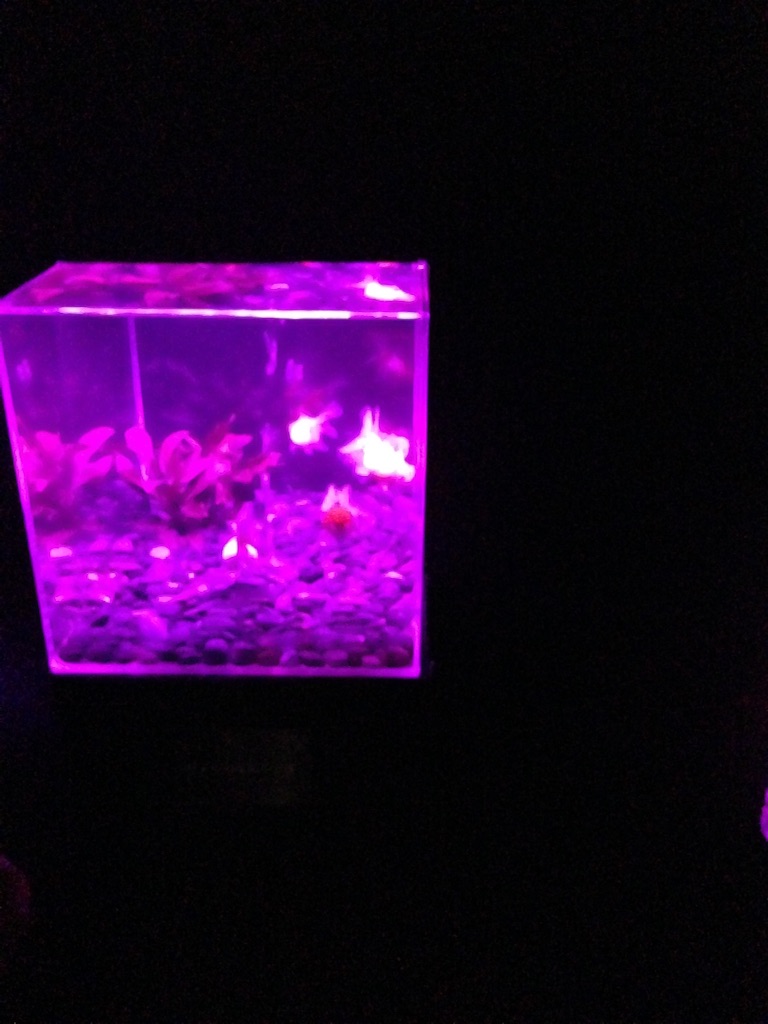 f:id:tettyagi:20151005165544j:plain f:id:tettyagi:20151005165544j:plain