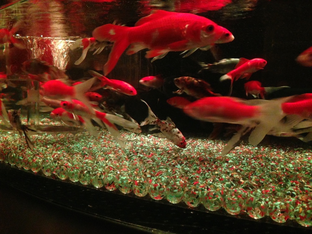 f:id:tettyagi:20151005165653j:plain f:id:tettyagi:20151005165653j:plain