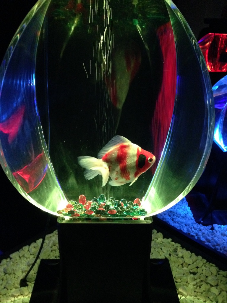 f:id:tettyagi:20151005165901j:plain f:id:tettyagi:20151005165901j:plain
