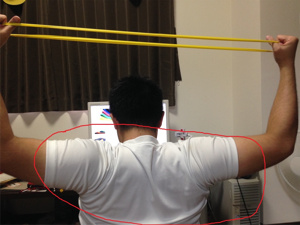 f:id:tettyagi:20170506152647j:plain