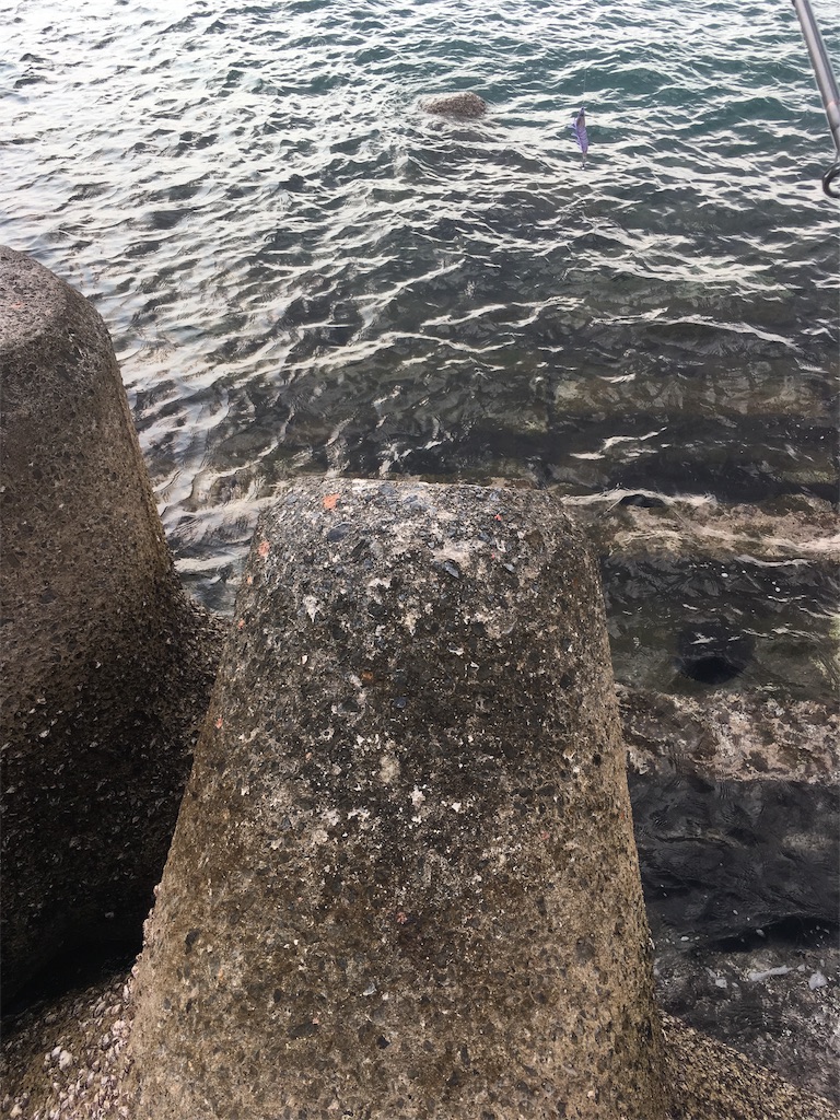 f:id:tettyagi:20190328155319j:plain