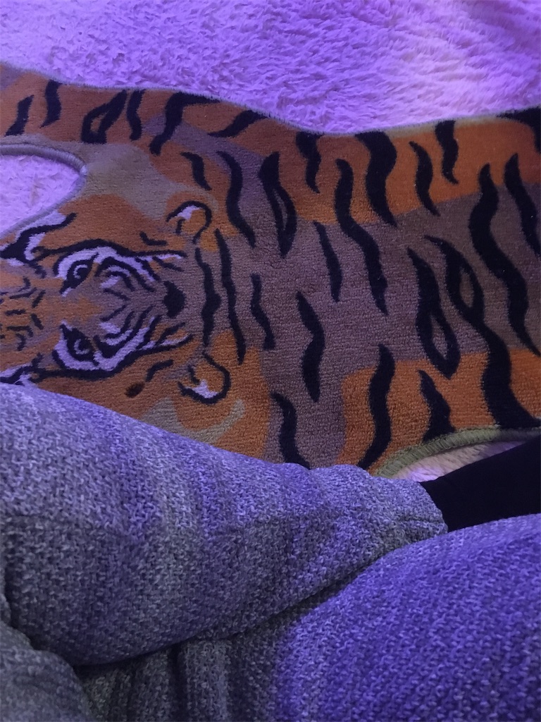 f:id:tettyagi:20190416125004j:plain