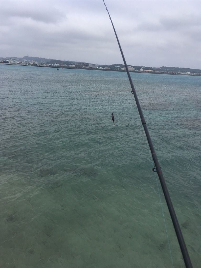 f:id:tettyagi:20190417162037j:plain