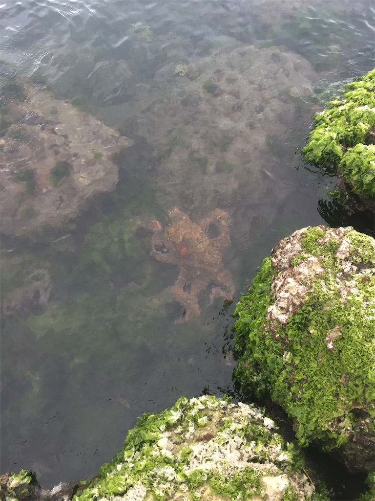 f:id:tettyagi:20190417162100j:plain