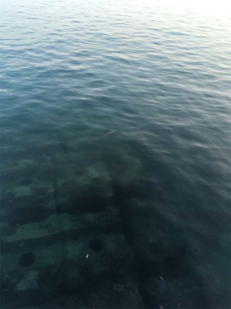 f:id:tettyagi:20190520142626j:plain