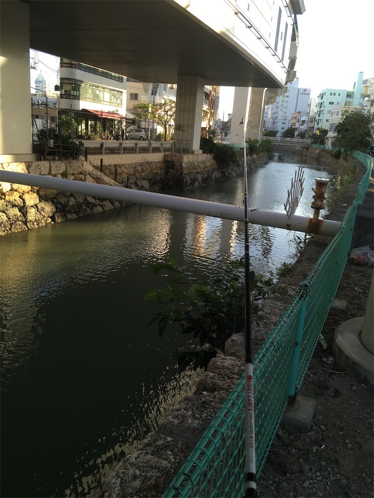 f:id:tettyagi:20190526201336j:plain