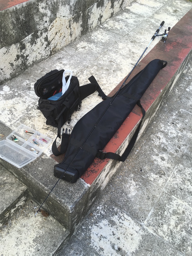 f:id:tettyagi:20190526201341j:plain