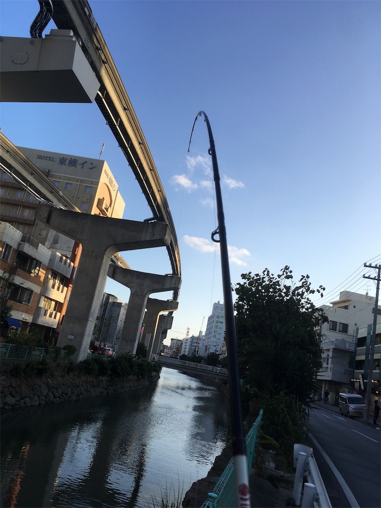 f:id:tettyagi:20190526201351j:plain