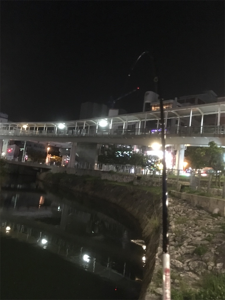 f:id:tettyagi:20190526201600j:plain