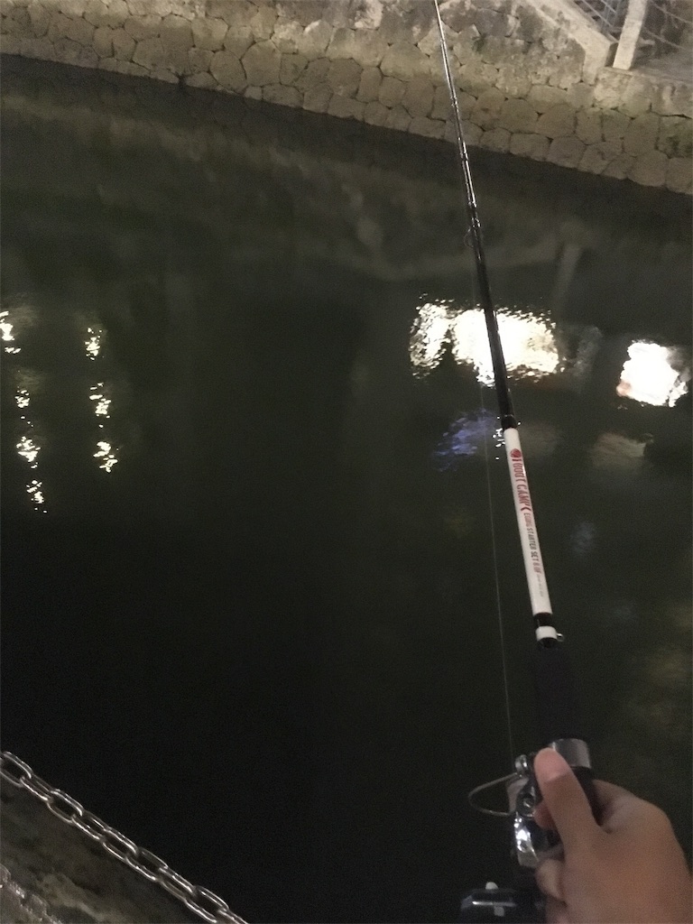 f:id:tettyagi:20190526201612j:plain