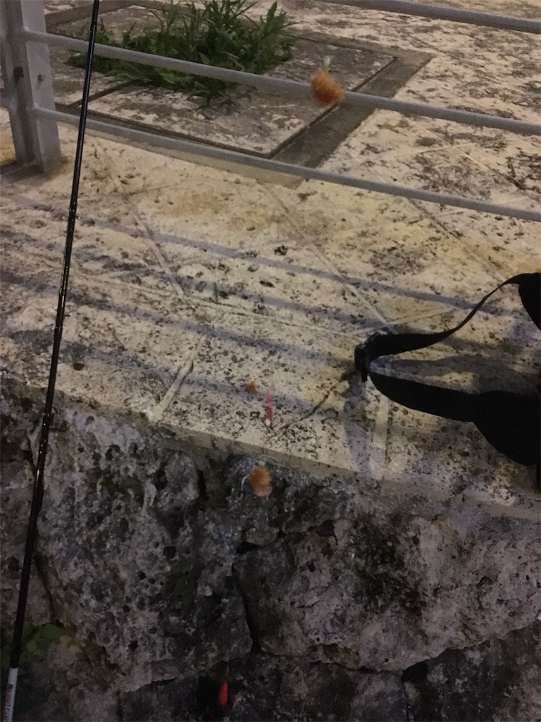 f:id:tettyagi:20190526201619j:plain