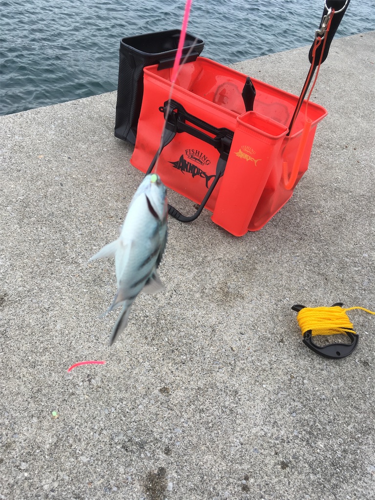 f:id:tettyagi:20190619150734j:plain