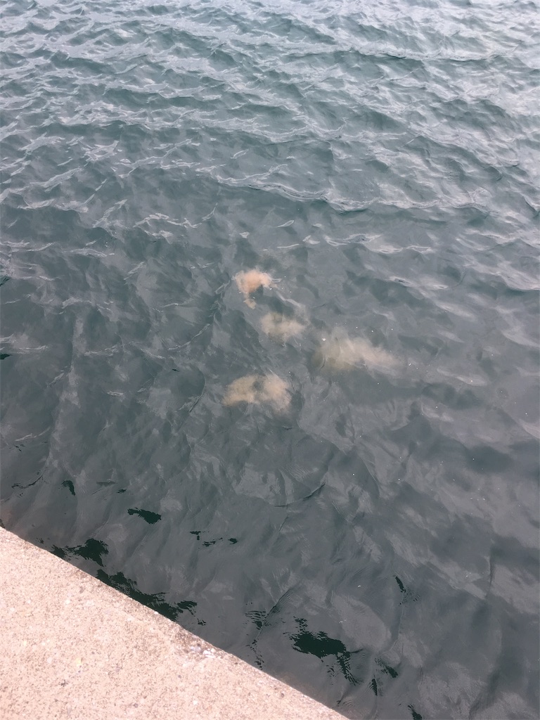 f:id:tettyagi:20190619150745j:plain