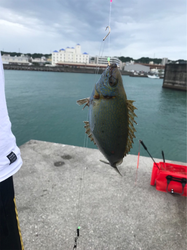 f:id:tettyagi:20190619150747j:plain