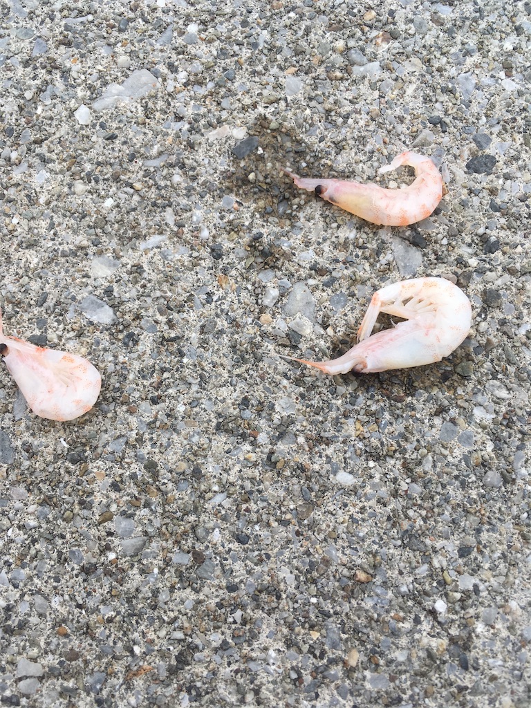 f:id:tettyagi:20190619150802j:plain