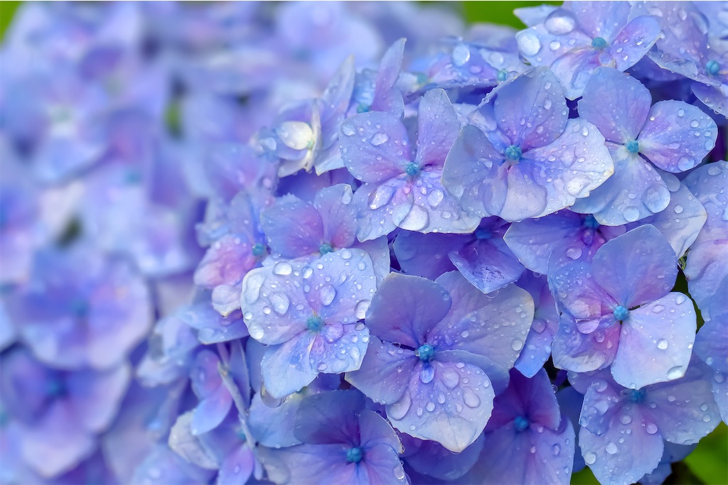 f:id:tetu46:20201228143925j:image