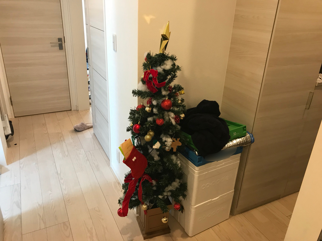 f:id:tetugaku_neko:20181230202918j:plain