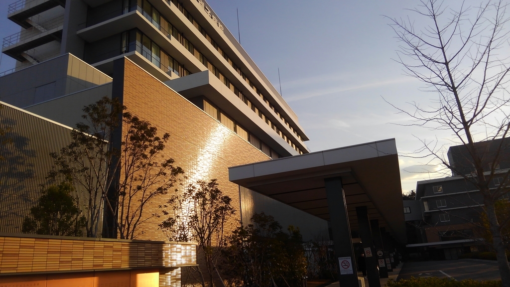 f:id:tetujining:20190224071730j:plain