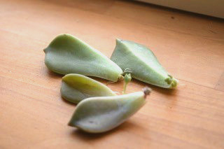 f:id:tetuneco:20150720203441j:image f:id:tetuneco:20150720203441j:image