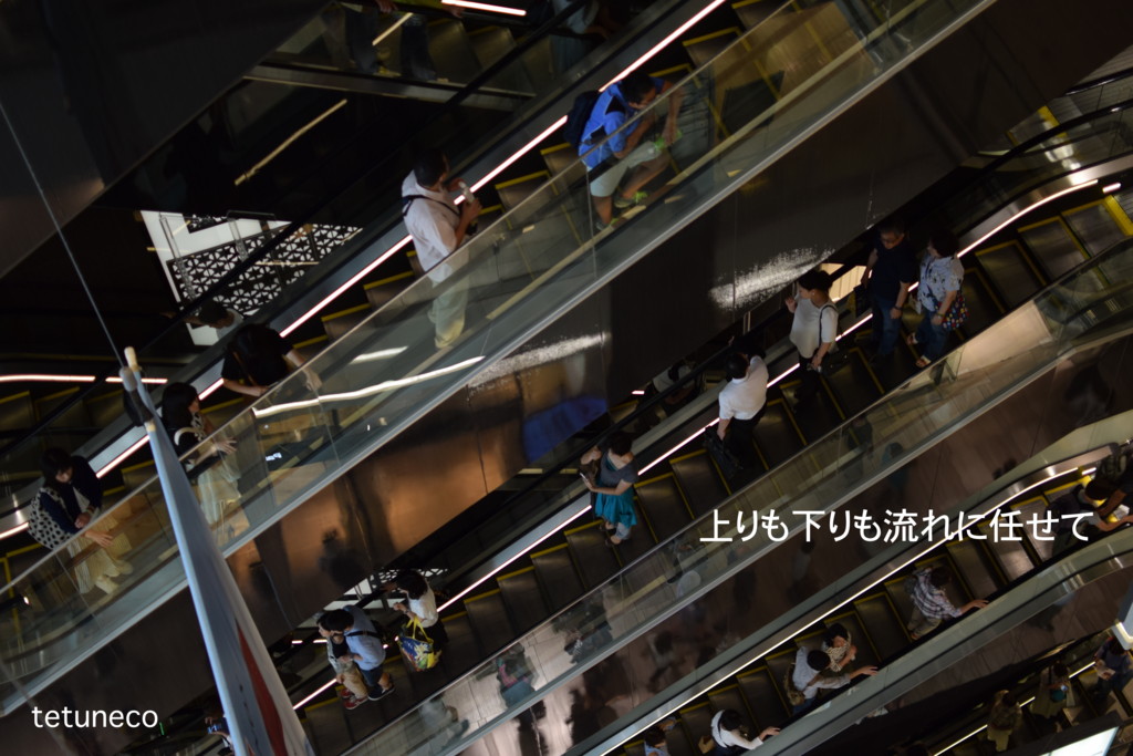 f:id:tetuneco:20150923122550j:plain