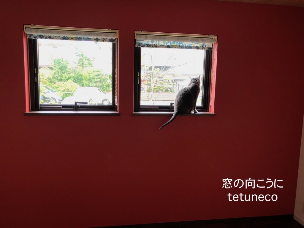 Kindle日替わりセール本買って読むマラソンの足跡１９ ８５１日ー９００日 本を読んで社会をのぞき見