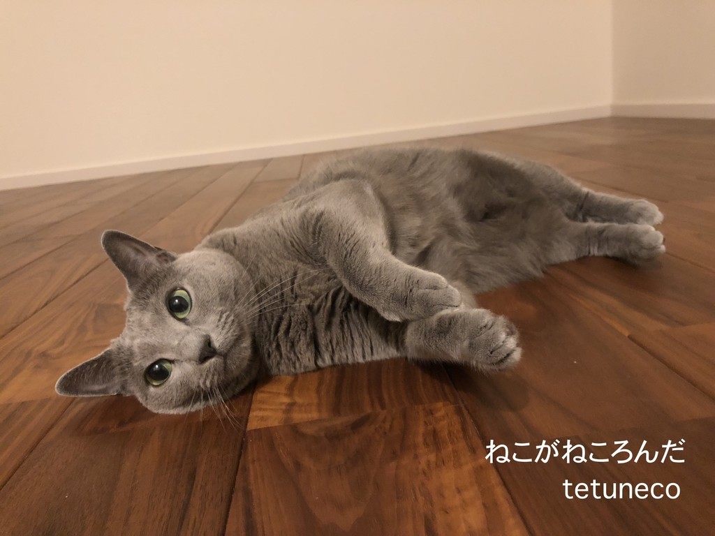f:id:tetuneco:20180915201406j:plain f:id:tetuneco:20180915201406j:plain