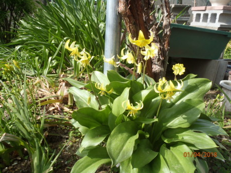 f:id:tetuo0208:20180401092838j:image f:id:tetuo0208:20180401092838j:image