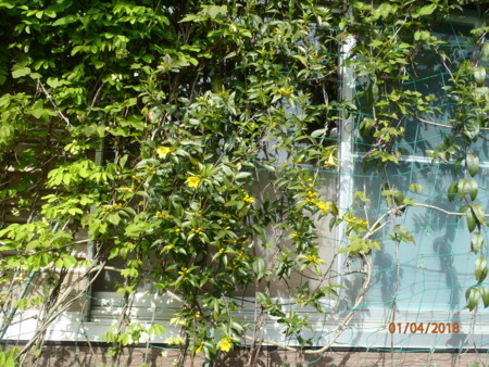 f:id:tetuo0208:20180401093411j:image f:id:tetuo0208:20180401093411j:image