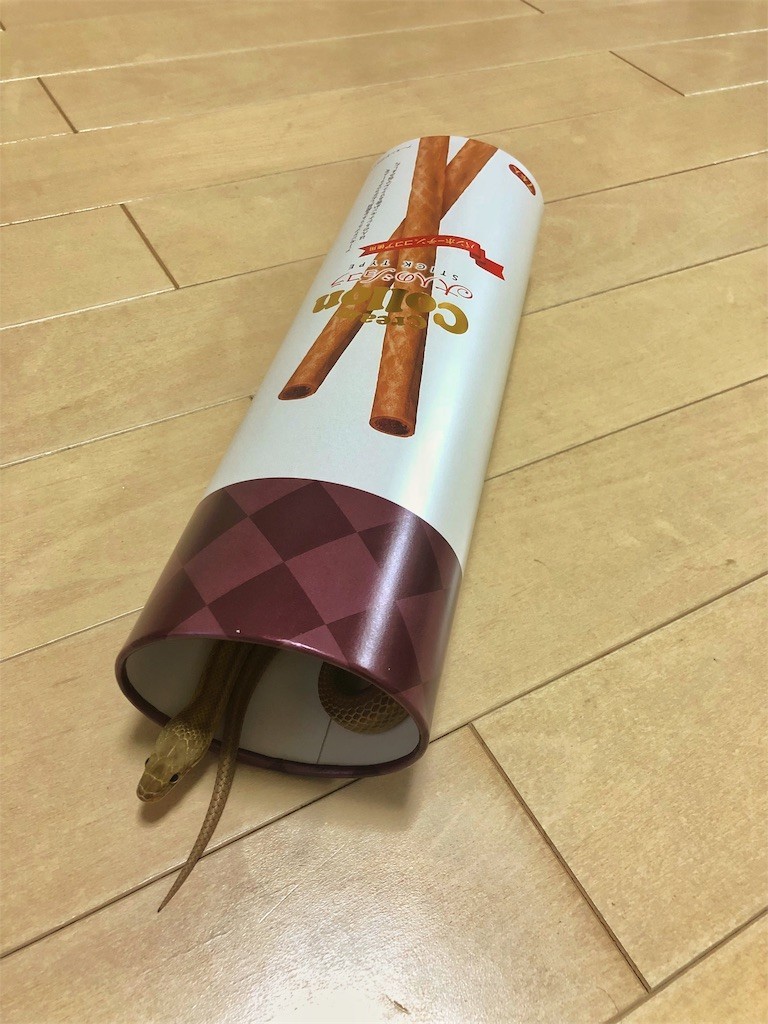 f:id:tetzl:20181002220510j:image